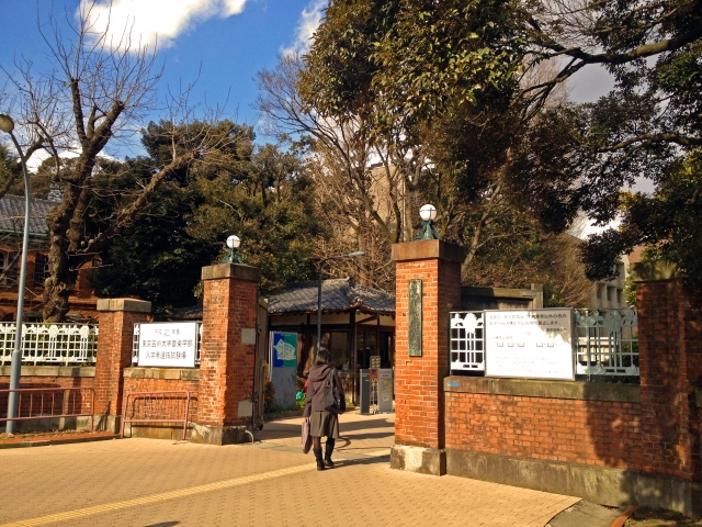 東京藝術大学イメージ