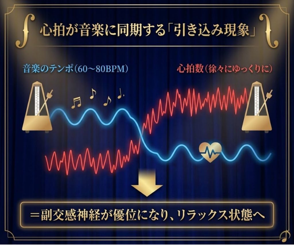 音楽のテンポに心拍が同期する「引き込み現象」の図解。60〜80BPMの音楽がリラックスを誘う仕組み